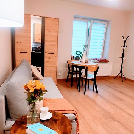 Apartament Plac Kazimierza Wielkiego 5 Тарнув Экстерьер фото